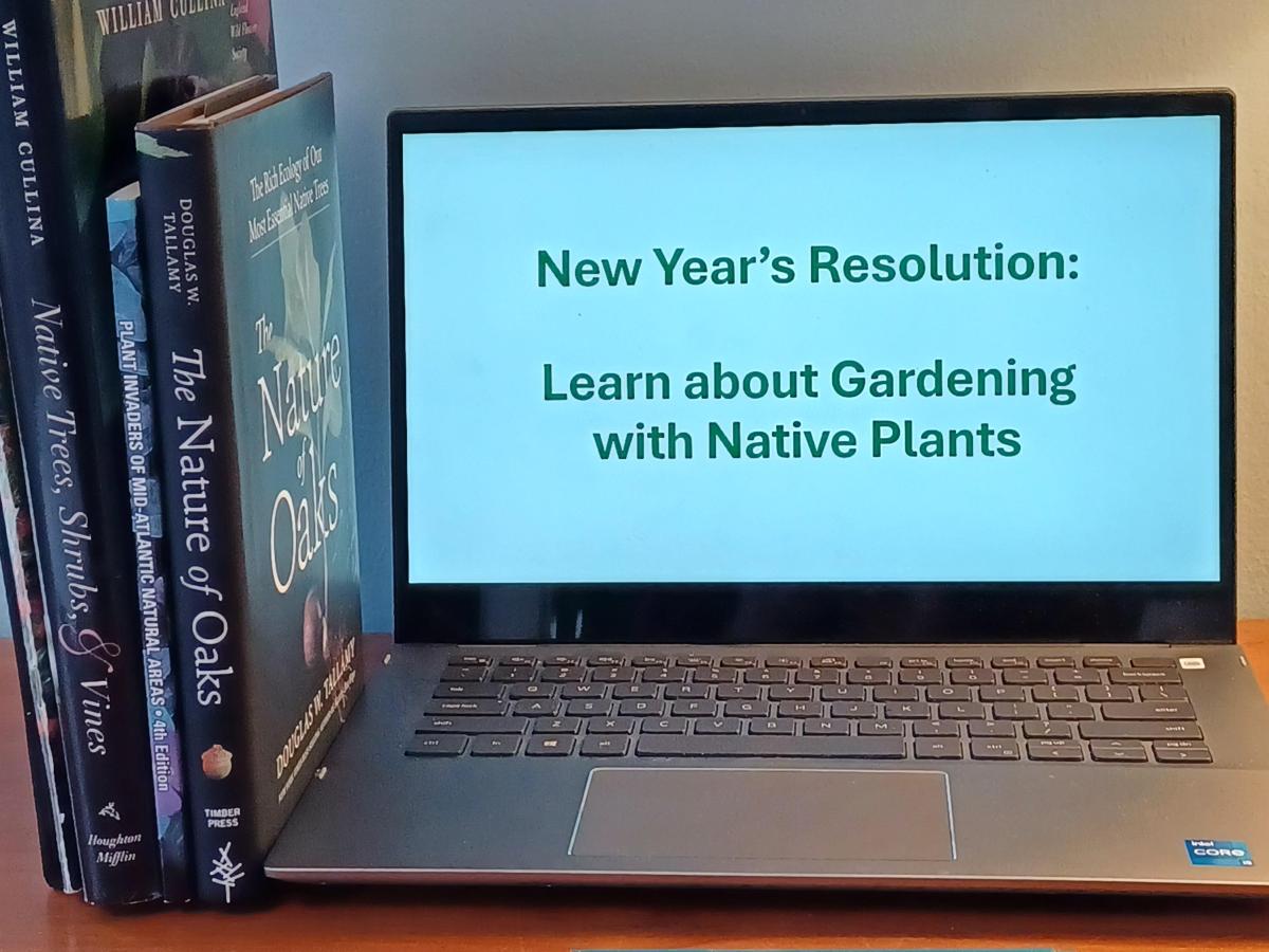 Learn about Native Plant Gardening in the New&nbsp;Year