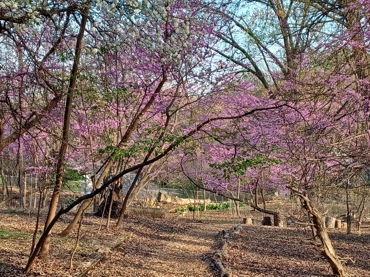 Stuart Armstrong Park Undergoes&nbsp;Transformation