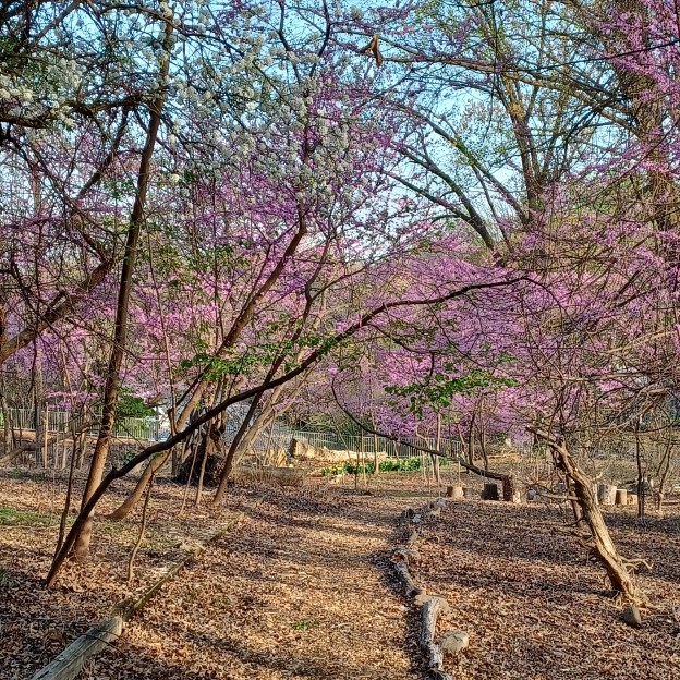 Photographer: Meg Voorhes